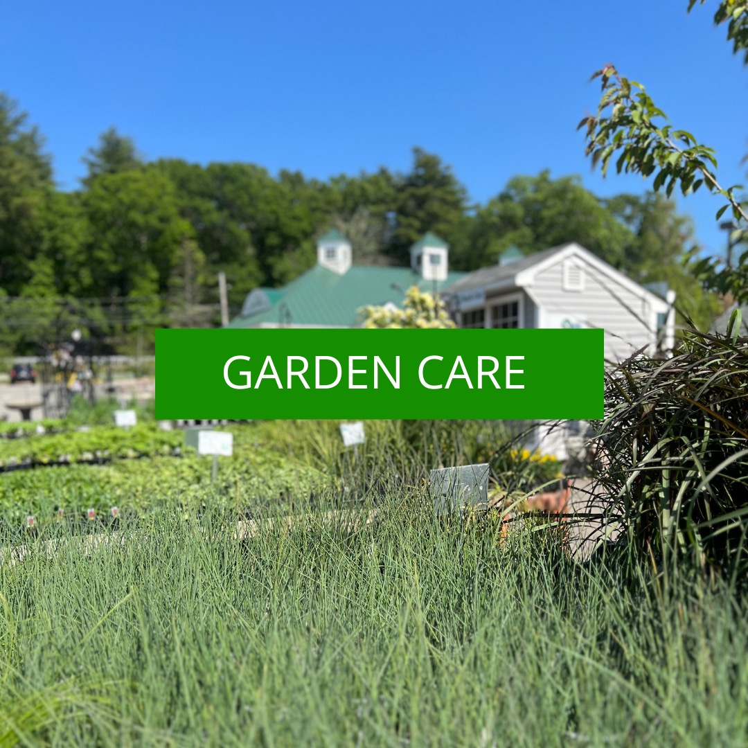 Nunan Florist and Greenhouses Order Flower Delivery MA