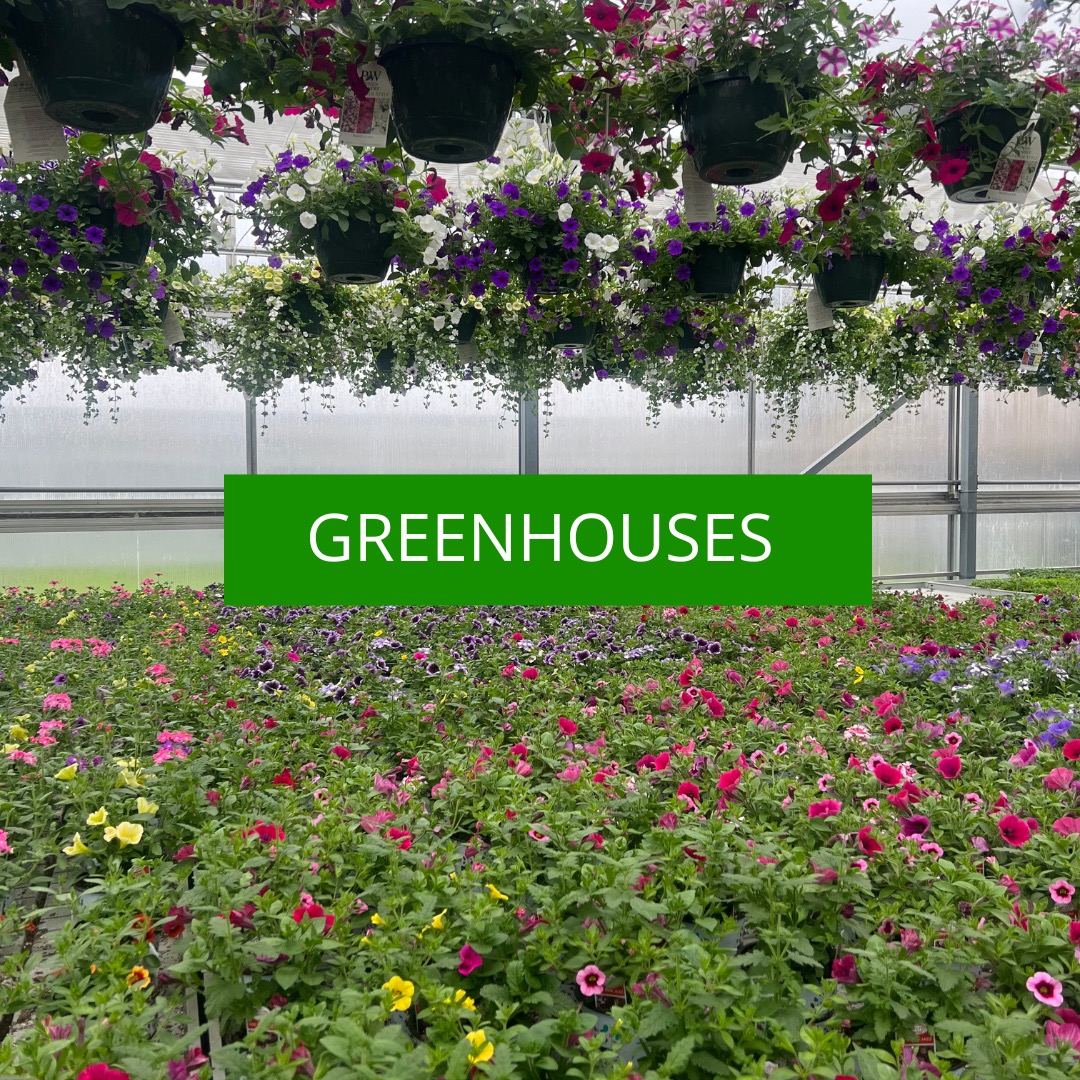 Nunan Florist and Greenhouses Order Flower Delivery MA