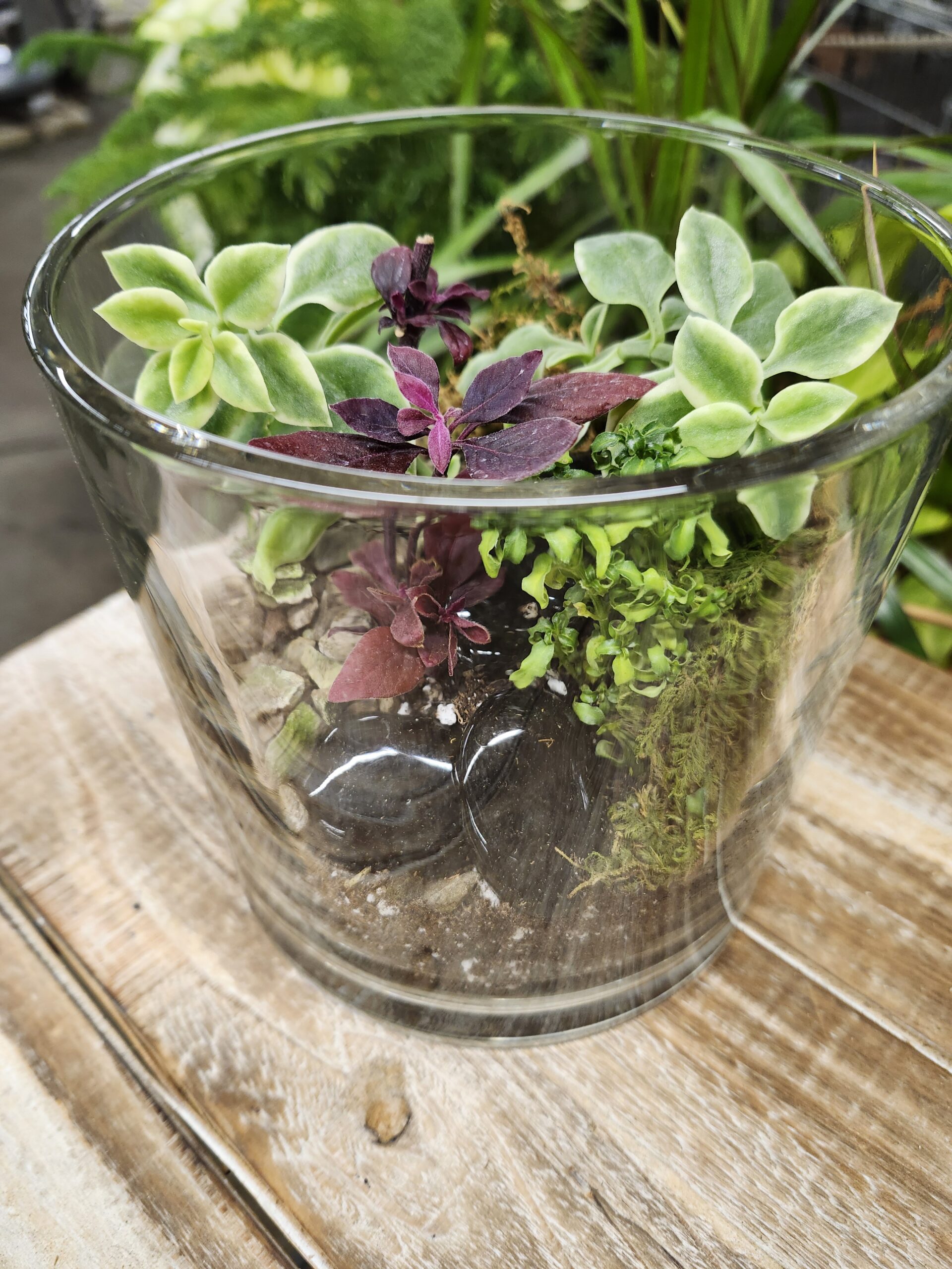 Terrarium Class Picture