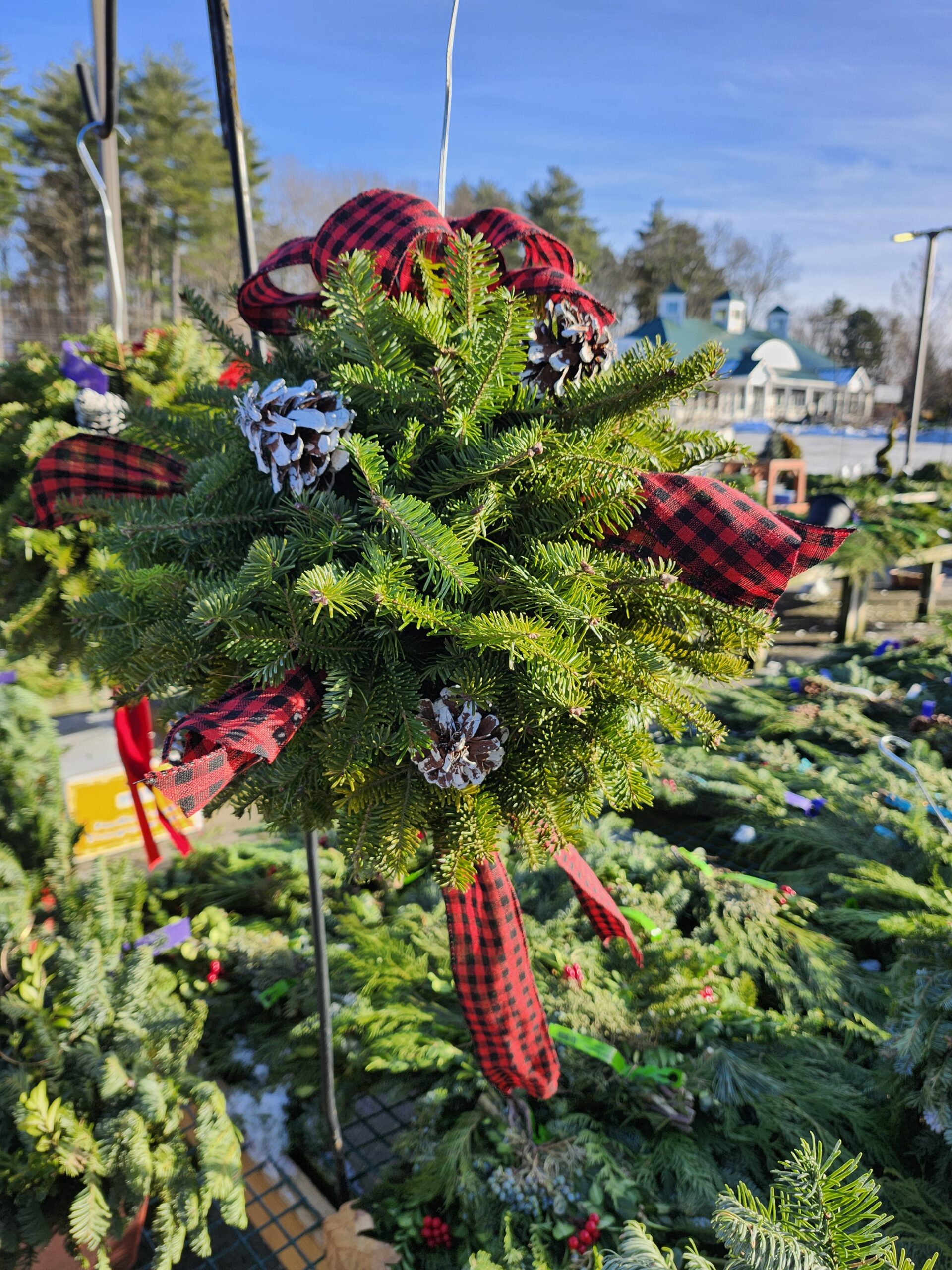 Decorate a Kissing Ball Class Pic