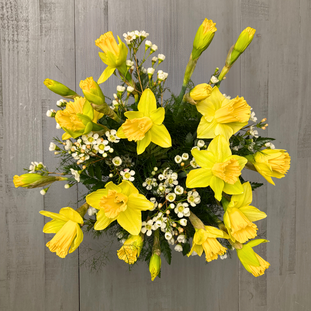 DREAMS OF DAFFODILS TOP