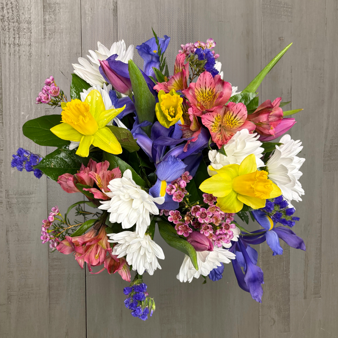 MELODY OF SPRING TOP